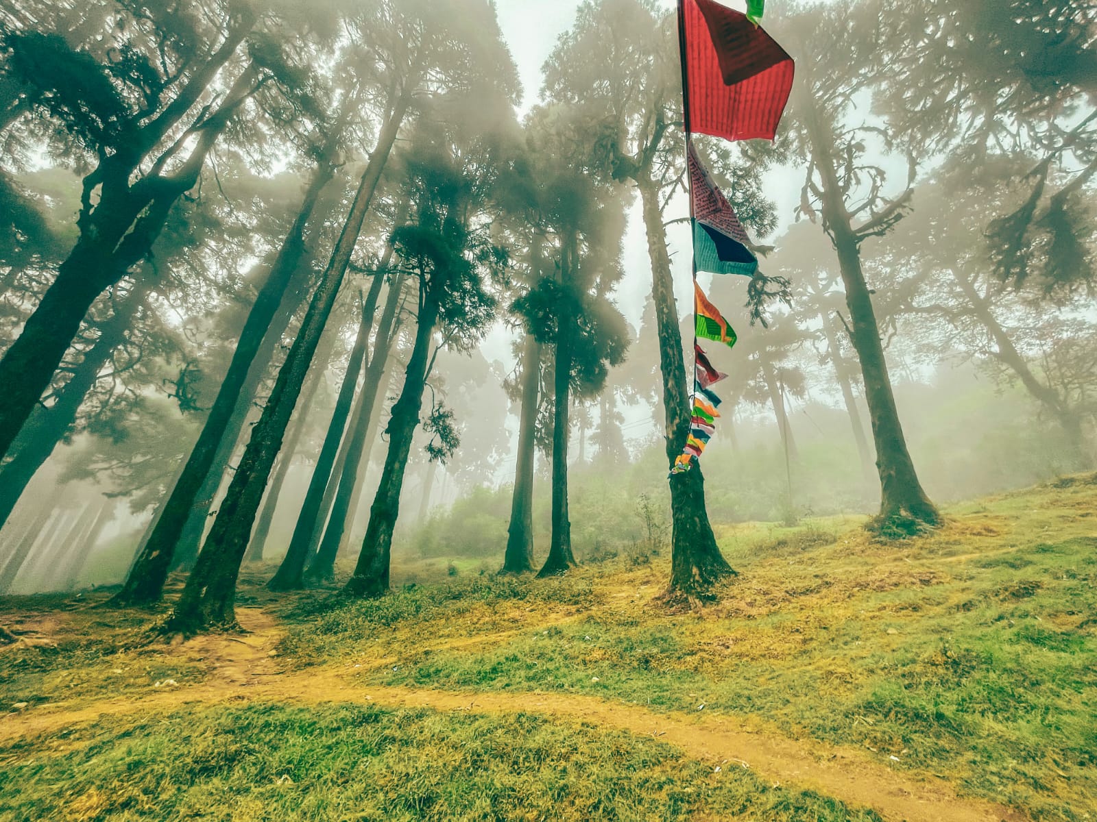 Darjeeling & Labda Offbeats