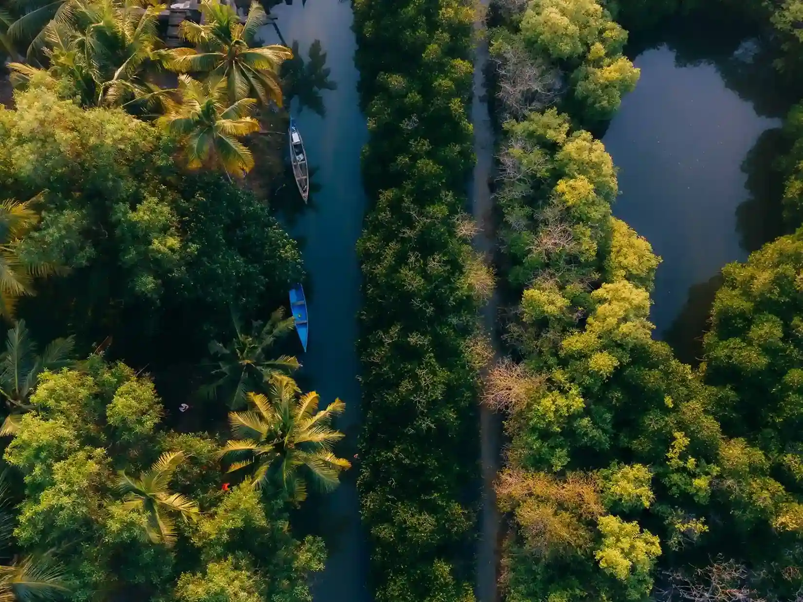 God's Own Country
